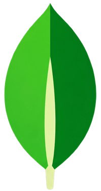 MongoDB